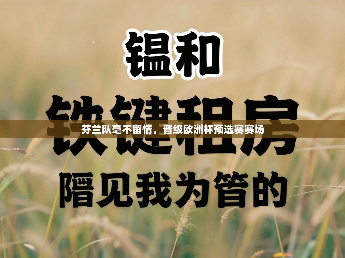 芬兰队毫不留情，晋级欧洲杯预选赛赛场