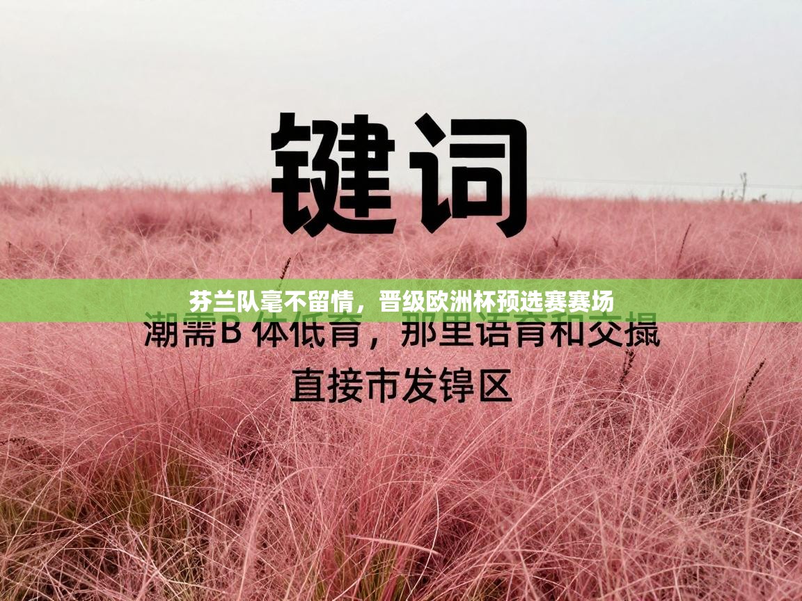 芬兰队毫不留情,晋级欧洲杯预选赛赛场 第2张